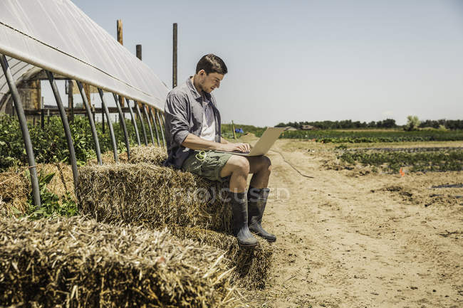 Hombre sentado en la paca de heno utilizando el ordenador portátil - foto de stock