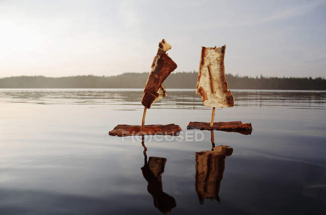 Dos barcos de corteza en el lago - foto de stock