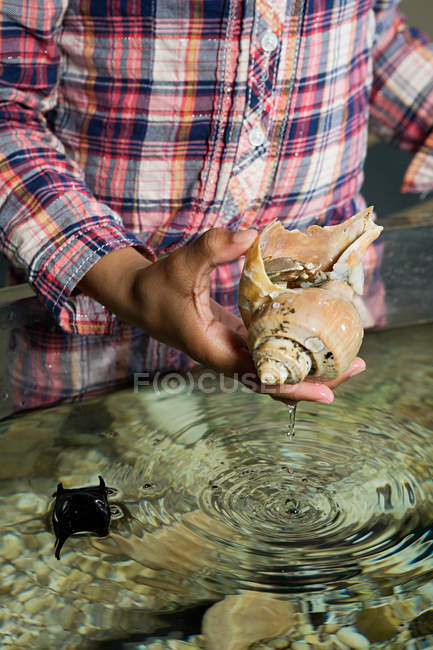 Chica sosteniendo cáscara de mar en acuario - foto de stock