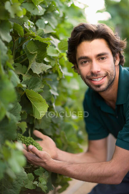Retrato de un viticultor - foto de stock