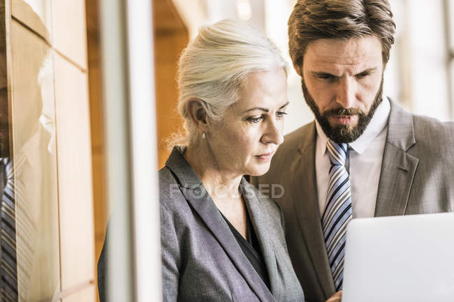 Empresários vestindo ternos olhando para laptop — Fotografia de Stock