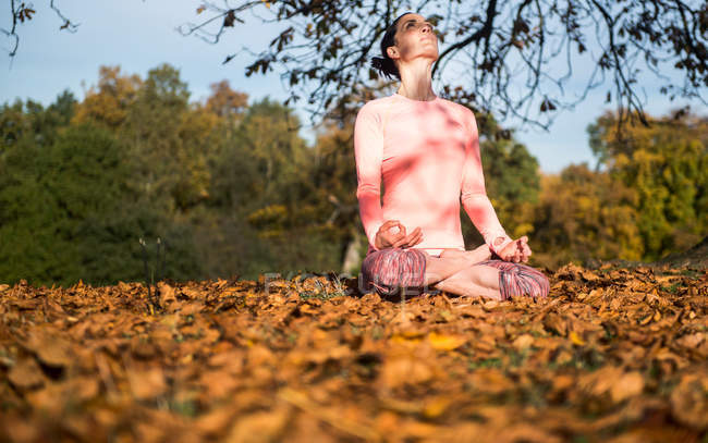Mujer haciendo yoga en el parque en el día de otoño - foto de stock