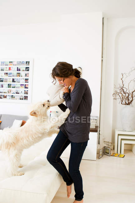 Женщина играет с собакой в гостиной — стоковое фото