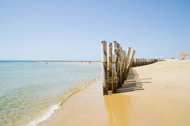 Groynes on beach, Cap Ferret, Costa de Argent, Francia - foto de stock