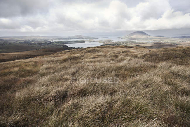 Sumpfige Küstenlandschaft mit bewölktem Himmel, Irland — Stockfoto