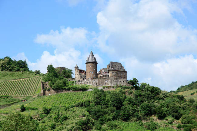 Ancien château sur colline verte avec ciel nuageux bleu — Photo de stock