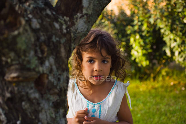 Uma rapariga atrás de uma árvore — Fotografia de Stock