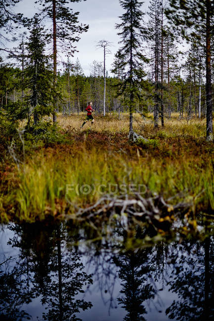 Man trail running in forest, Kesankitunturi, Lapland, Finland — Stock Photo