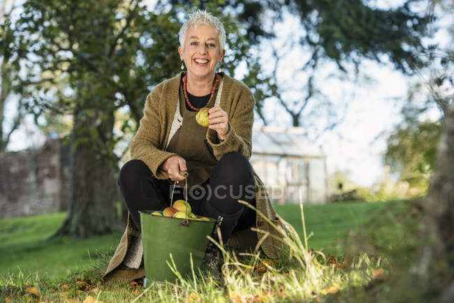 Старшая женщина держит яблоко из ведра — стоковое фото