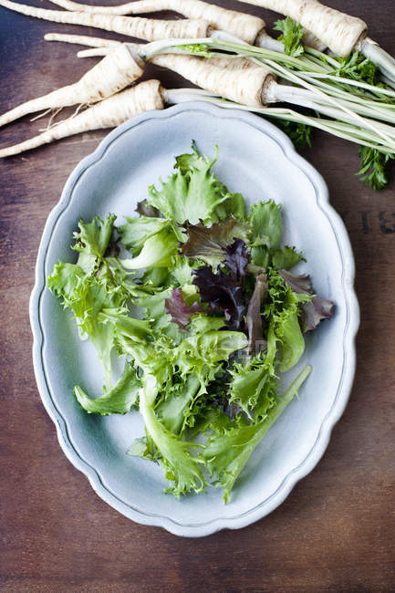 Feuilles de salade vertes mélangées dans une assiette, vue sur le dessus — Photo de stock
