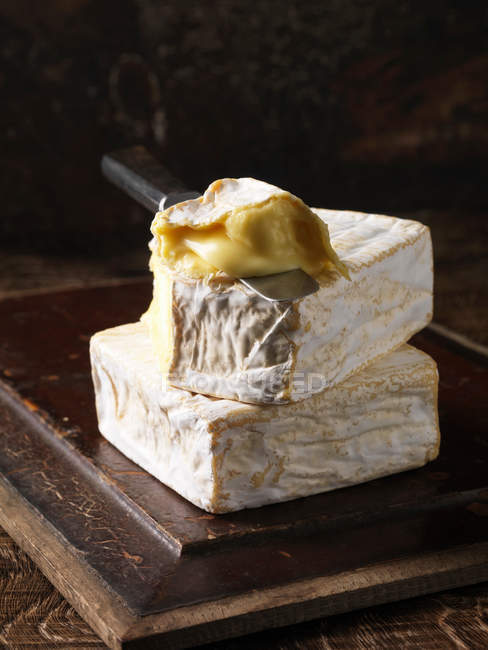 Sharpham cheese with knife — Stock Photo