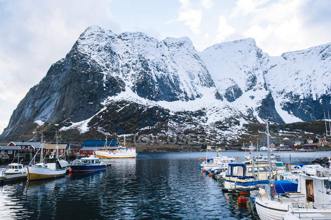 Bateaux de pêche dans le port, Reine, Lofoten, Norvège — Photo de stock