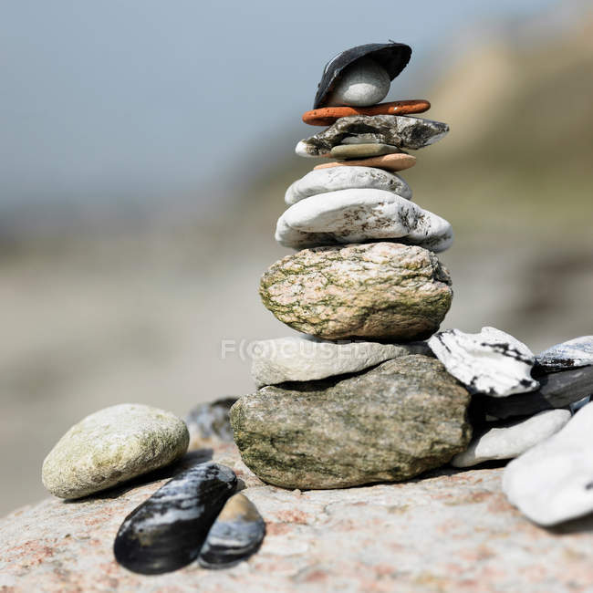 Pilha de rochas e conchas — Fotografia de Stock