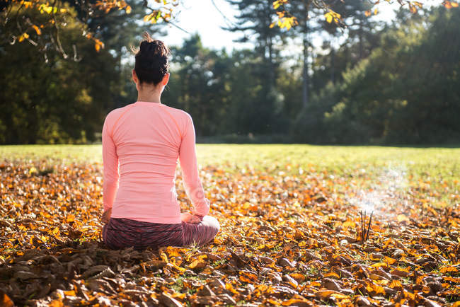Visão traseira da mulher fazendo ioga no parque no dia de outono — Fotografia de Stock