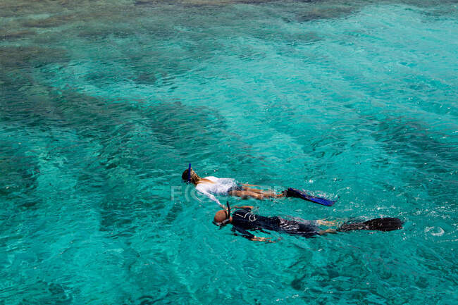 Snorkeling nel Mar dei Caraibi — Foto stock