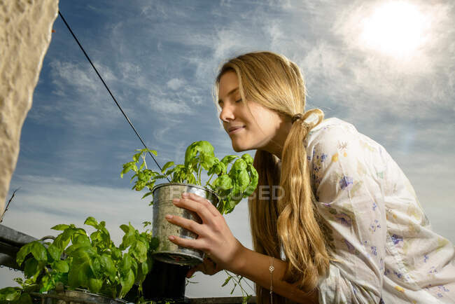 Junge Frau riecht Pflanze — Stockfoto
