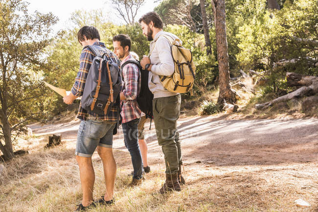 Quatre amis de randonnée avec carte en forêt, Deer Park, Cape Town, Afrique du Sud — Photo de stock