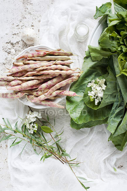 Plato de frijoles pinto con hojas, bodegón - foto de stock
