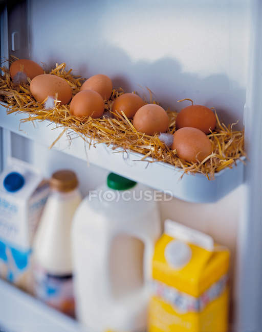Huevos recién puestos en paja - foto de stock
