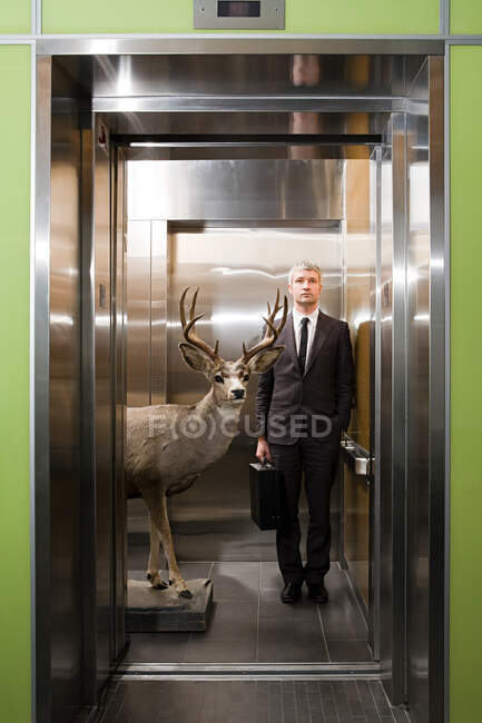 Uomo d'affari e cervo in piedi in ascensore — Foto stock