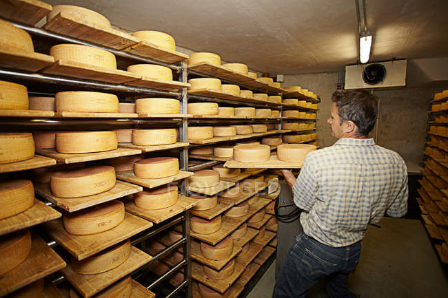 Lavoratore invecchiamento ruote di formaggio — Foto stock