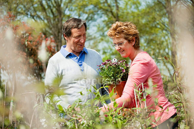 Couple looking at plants at garden center — Stock Photo