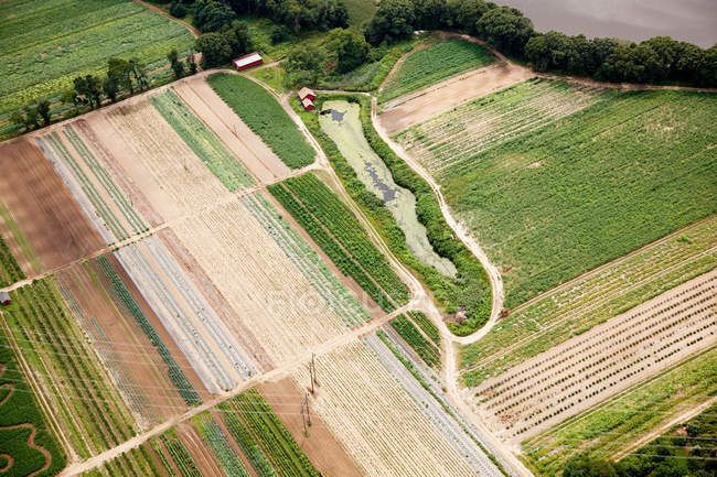 Вид с воздуха на узоры в полях, Соединенные Штаты Америки — стоковое фото