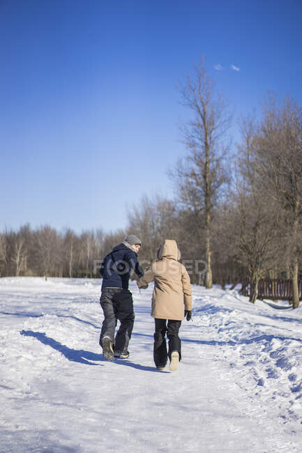 Casal jovem caminhando juntos durante o inverno na floresta, Montreal, Quebec, Canadá — Fotografia de Stock