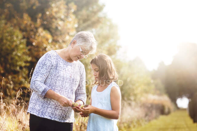 Grand-mère montrant à sa petite-fille les graines d'une gousse d'asclépiade — Photo de stock