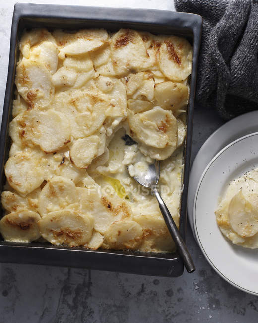 Potato gratin with spoon in baking tray — Stock Photo
