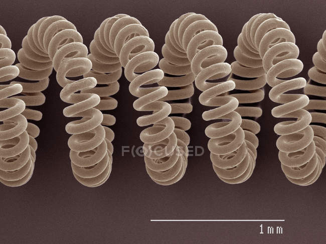 Coloured scanning electron micrograph of projector bulb filament — Stock Photo