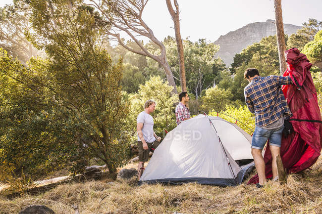 Three men putting up dome tent in forest, Deer Park, Cape Town, South Africa — Stock Photo