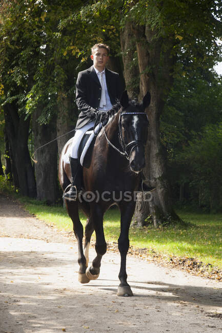 Cheval de dressage et cavalier — Photo de stock