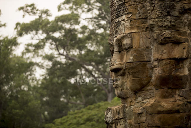 Primer plano del templo de Bayon, Angkor, Siem Reap, Camboya, Indochina, Asia - foto de stock