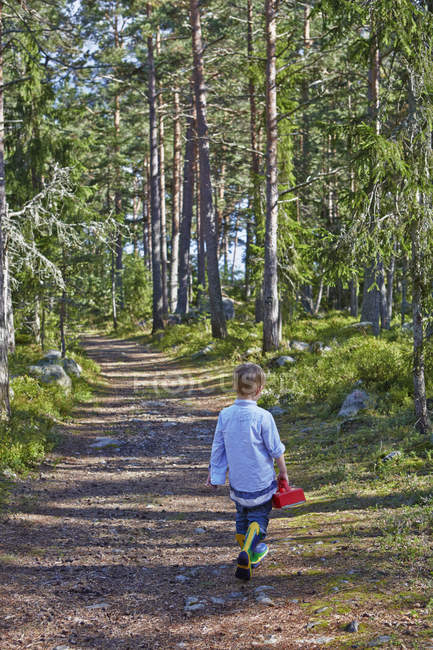 Вид сзади на маленького мальчика, блуждающего по лесной тропе — стоковое фото