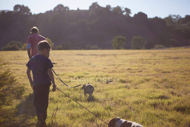 Padre e hijo paseando perros en el campo - foto de stock