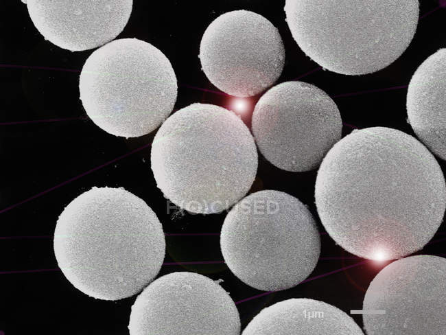 Micrografía electrónica de barrido de bolas vacías de dióxido de silicio - foto de stock