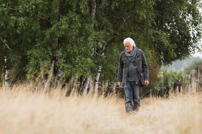 Uomo anziano che cammina nel prato — Foto stock