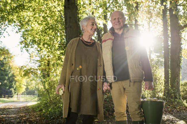 Portrait of senior couple with bucket of apples — Stock Photo