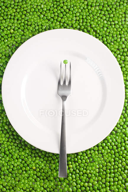 Fork and plate on pea — Stock Photo