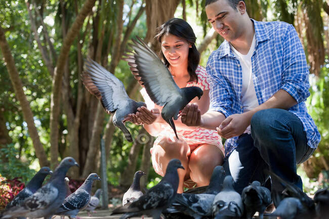 Jeune couple regardant des pigeons dans le parc — Photo de stock
