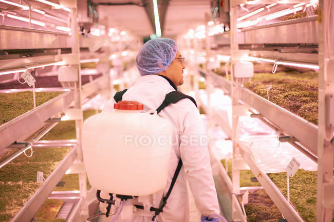 Male worker using backpack water sprayer for shelves of micro greens in underground tunnel nursery, London, UK — Stock Photo