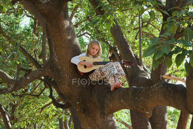 Mädchen spielt Gitarre im Baum — Stockfoto