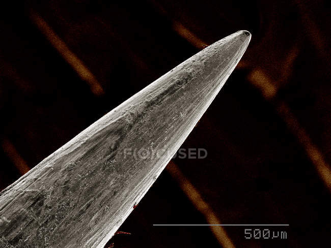 Micrografia eletrônica de varredura da agulha de costura — Fotografia de Stock