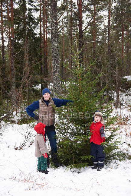 Family picking Christmas tree outdoors — Stock Photo