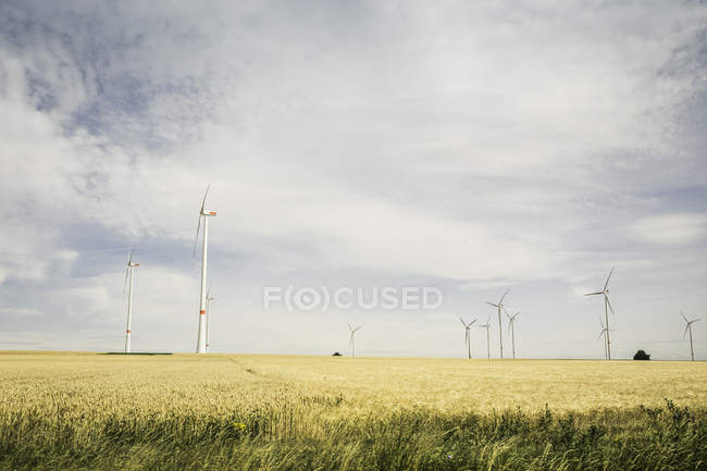 Aussichtsreicher Blick auf Windpark, Pfalz, Deutschland — Stockfoto