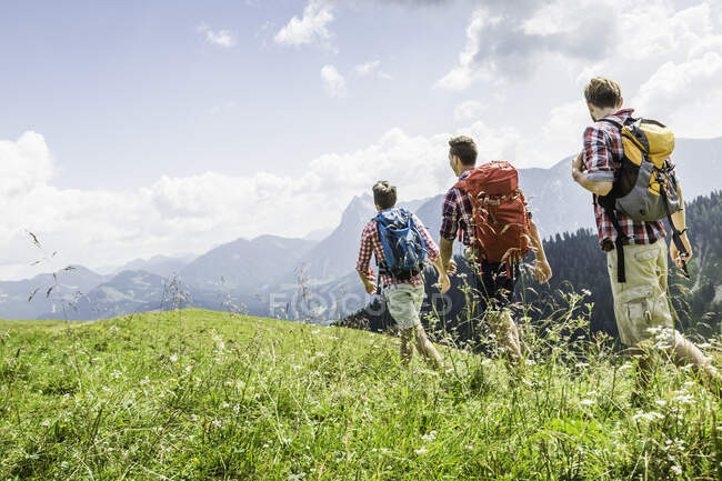Amigos varones senderismo, Tirol, Austria - foto de stock