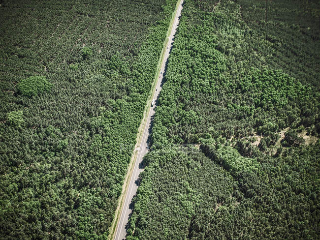 Estrada na paisagem rural — Fotografia de Stock