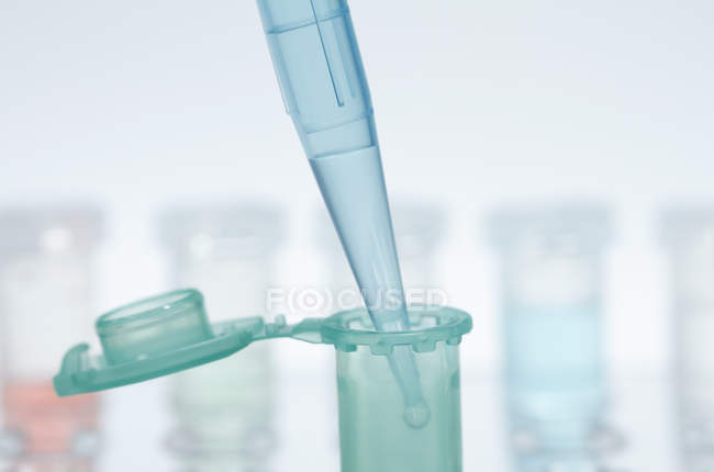 Bodegón de micro pipeta líquido de pipeteo en tubo de microcentrifugadora - foto de stock