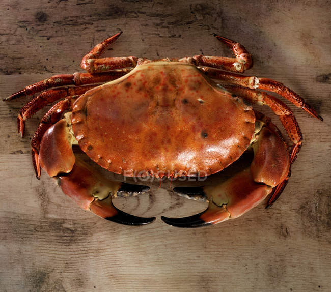 Top view of dead red crab on wooden table — Stock Photo